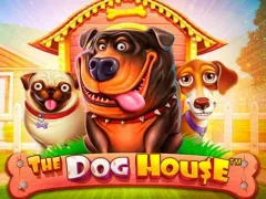 The Dog House — Froggybet Casino